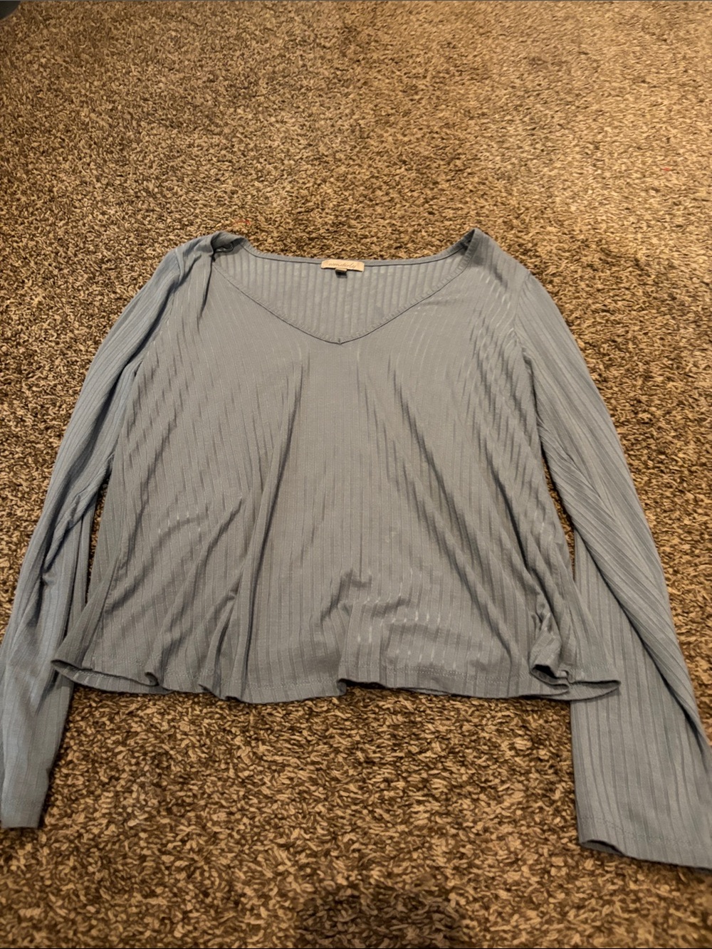 Wonderly Soft Sky Ribbed V-Neck Long Sleeve Top